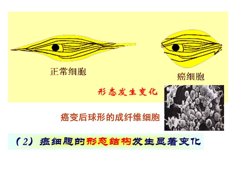 f14375a418524578b4dcfef73a1b4838.JPG
