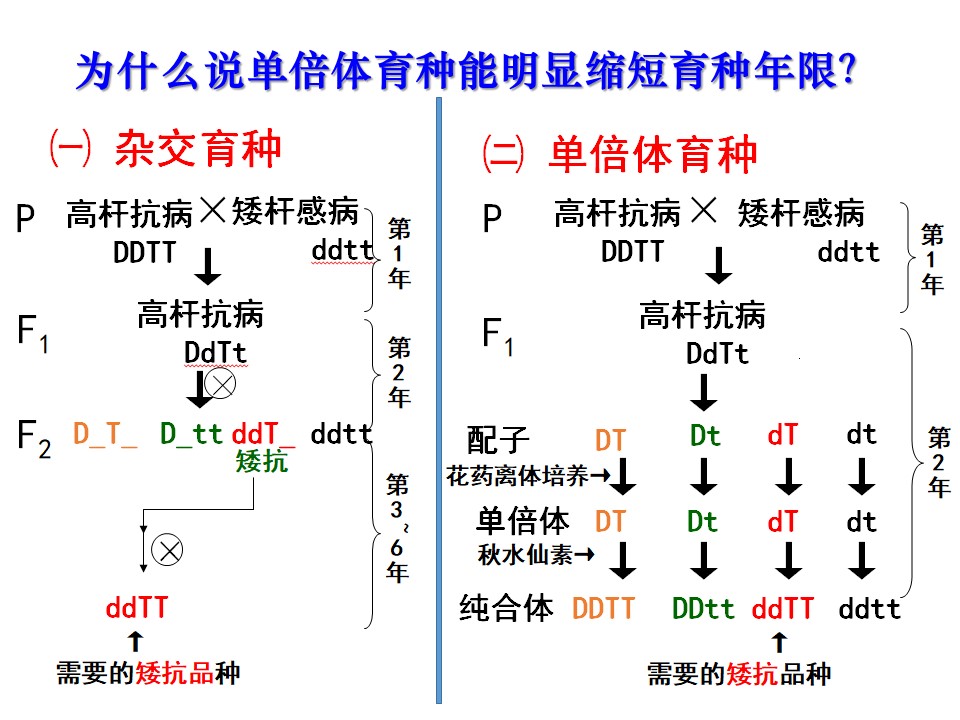 f506c2395f0243a38de749b0c6e99f64.JPG