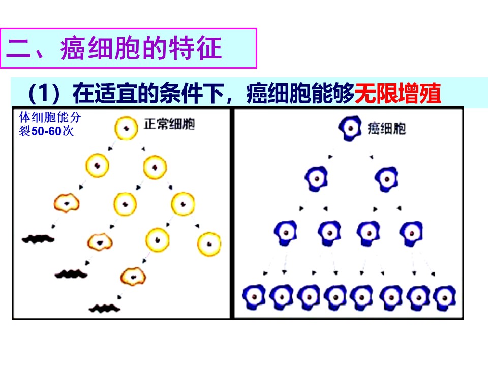fafe872fe3ba42a1a4c615ceb5447a91.JPG