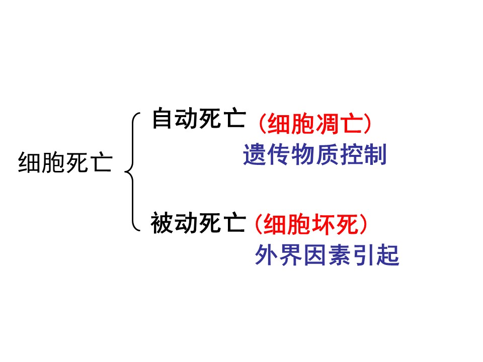 fd7218181a414685b797cbadb9b27dd9.JPG