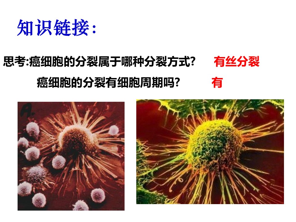 fde0181b0d91432887948337abf150a7.JPG