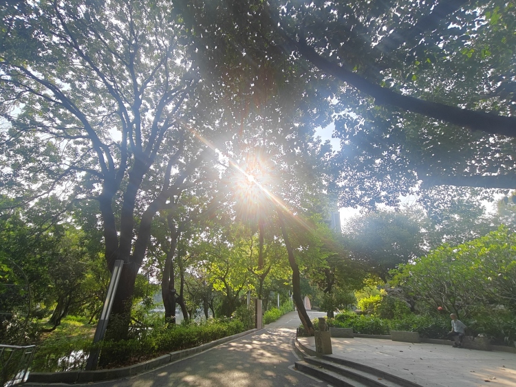 秋天还是这么热