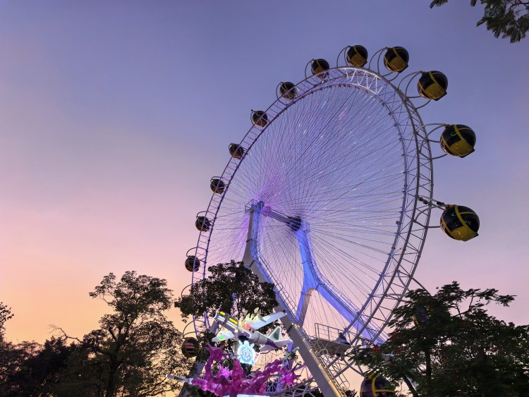 天荒地老流连在摩天轮🎡