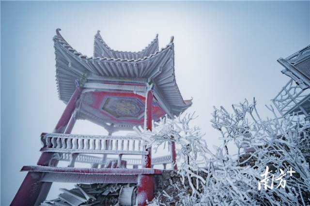 金子山雪景。