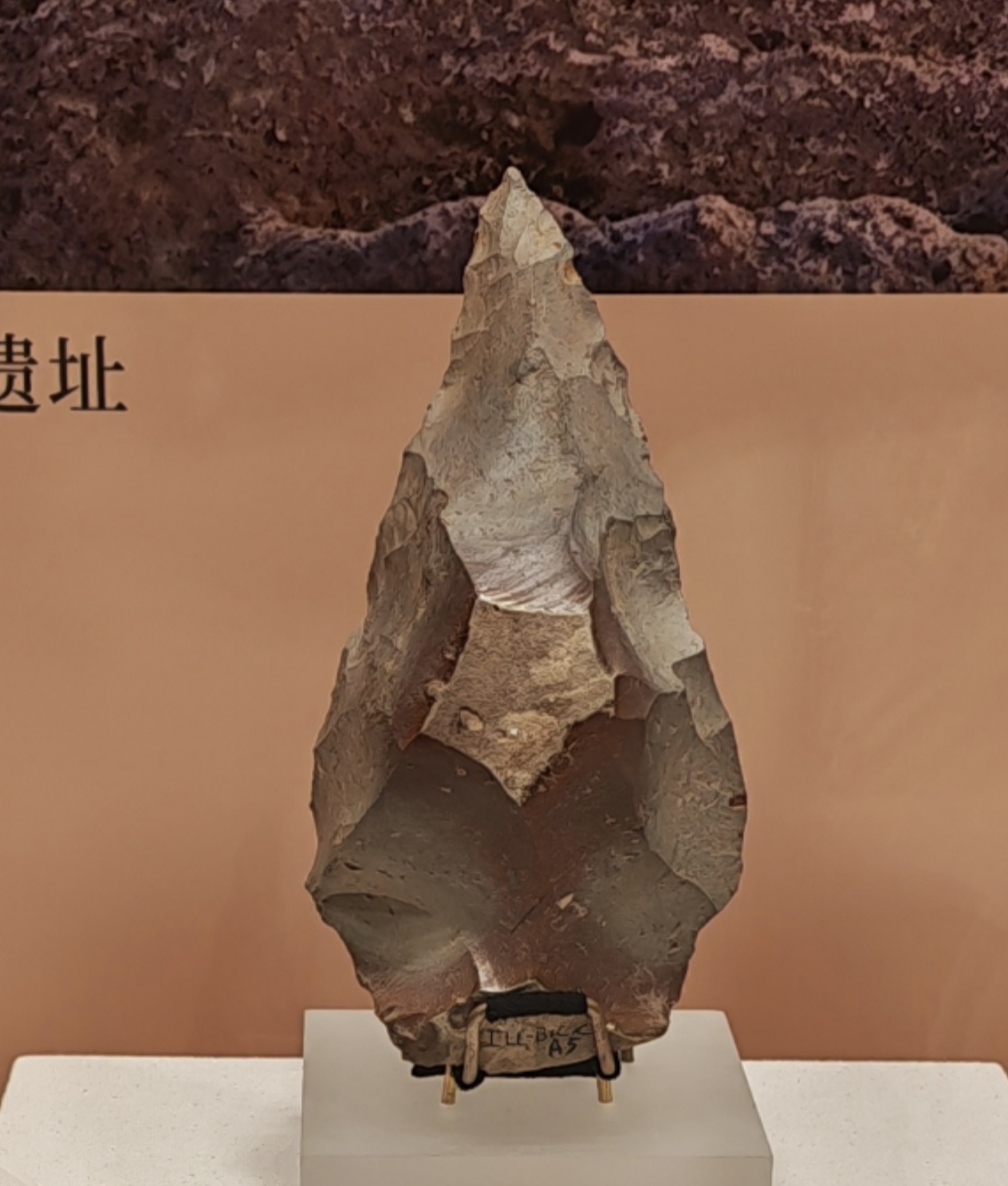 佛山祖庙这件泪滴状手斧，竟是人类最早标准化重型工具-佛山新闻传媒中心