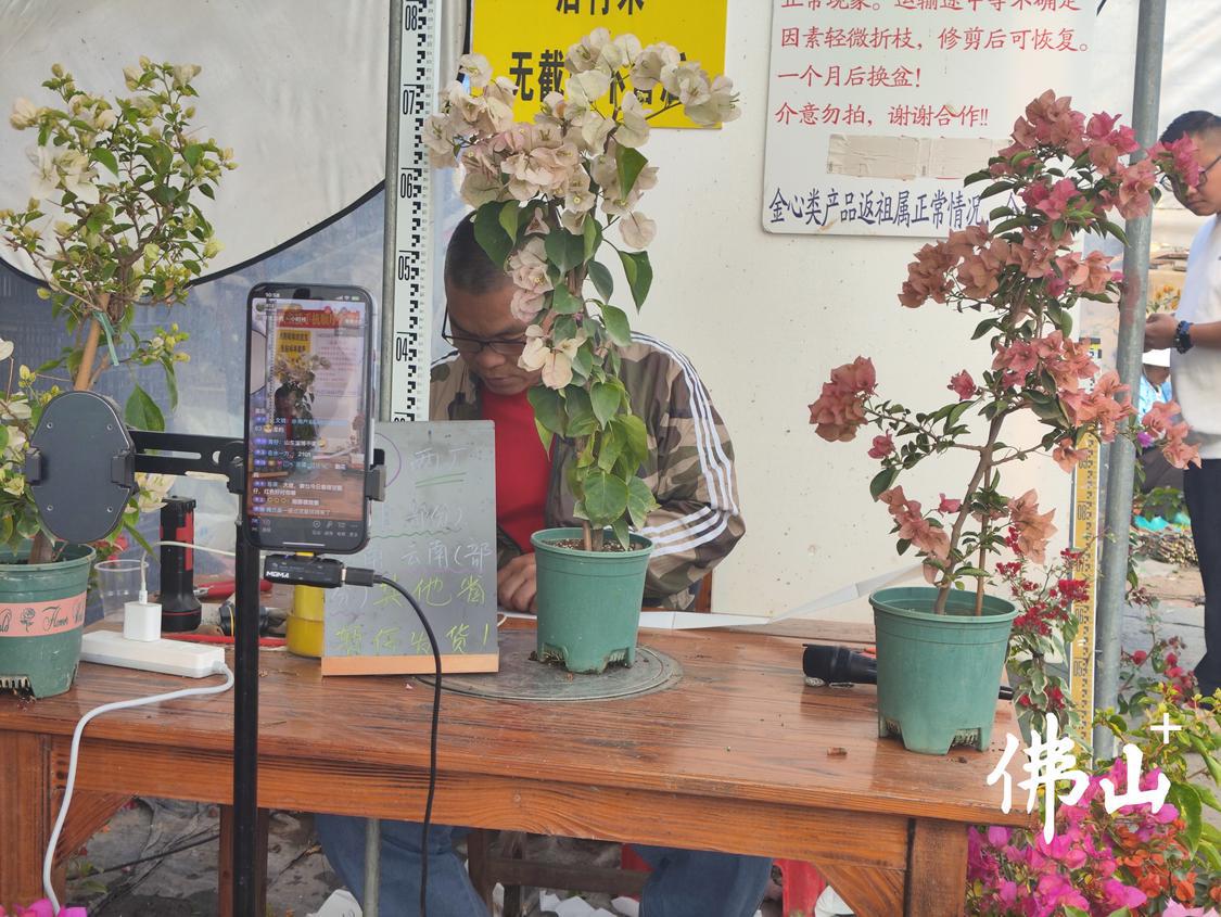 微信图片_20241219171659.jpg