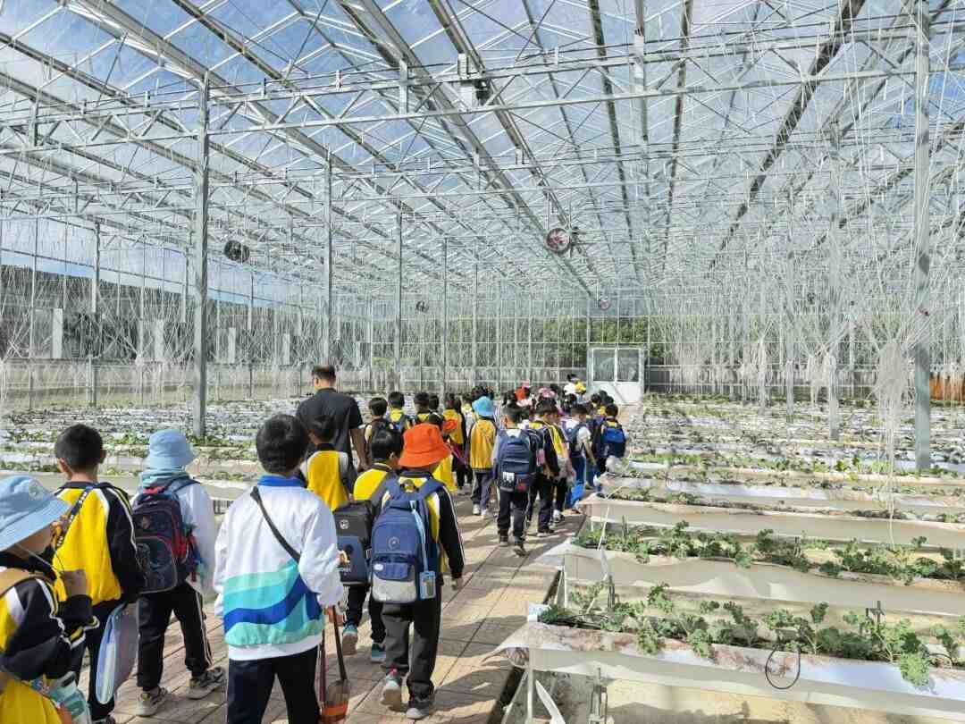 佛山秋假又来了，这些问题要继续破解！|咩都讲一餐