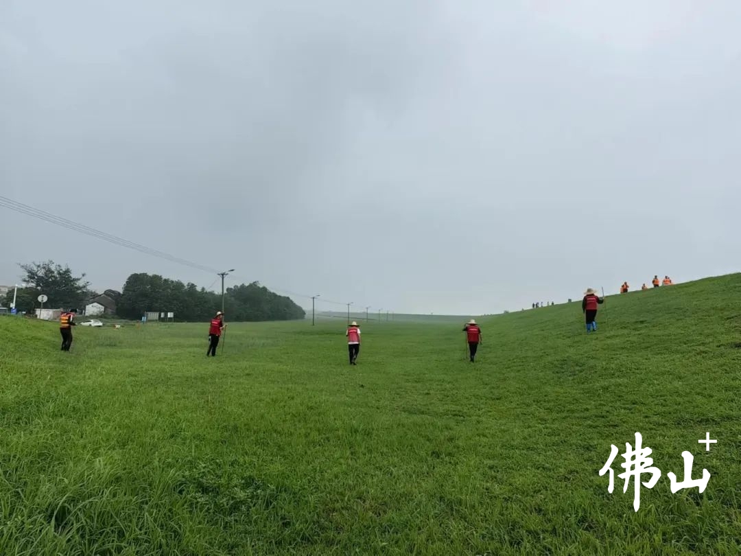 91404b8c519f65409af5c64d33ab55b5.jpeg