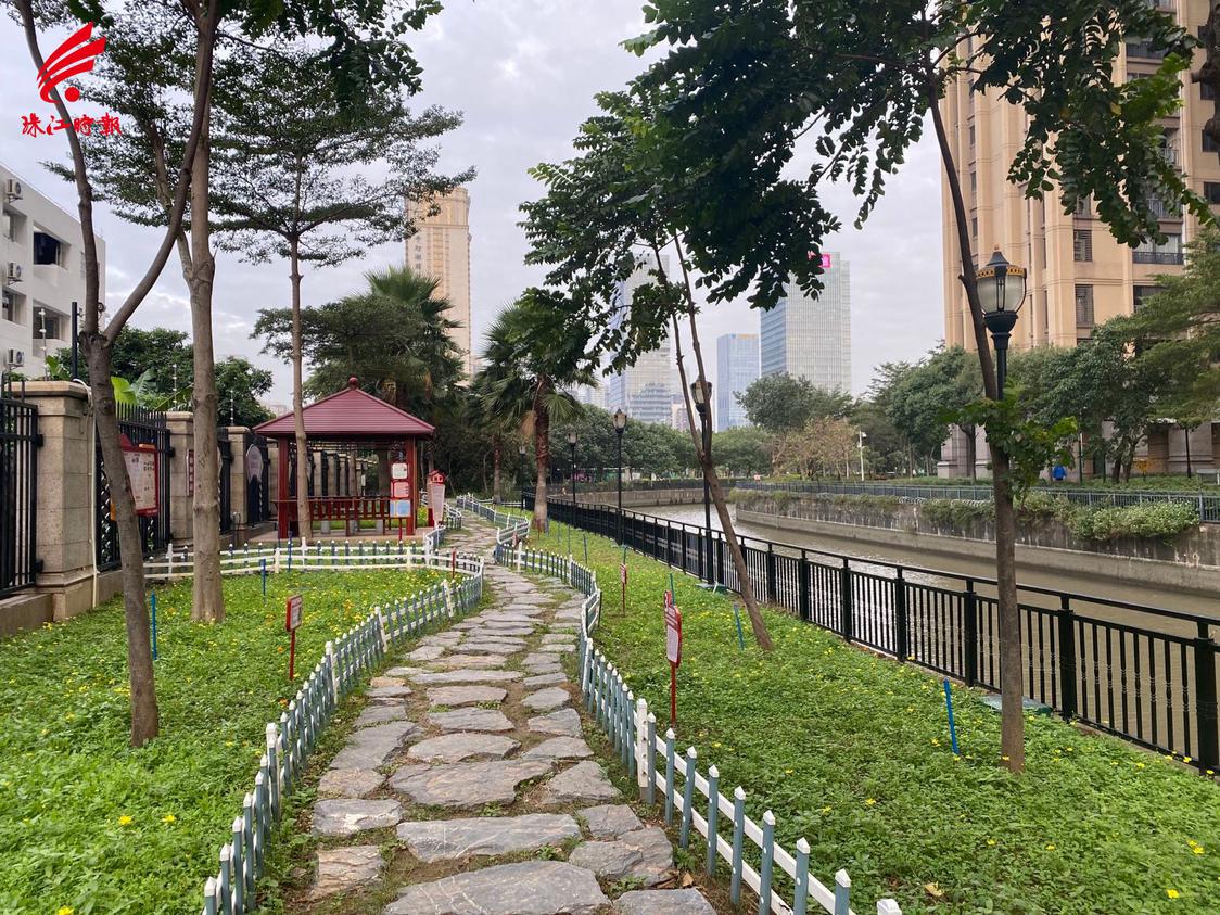 千灯湖1号党建长廊——五胜花海。.jpg