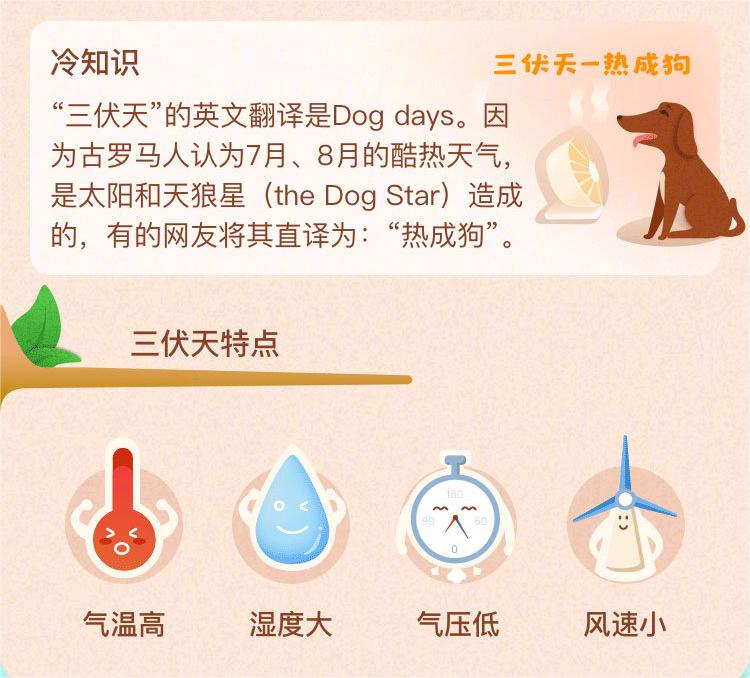 什么是三伏天.jpg