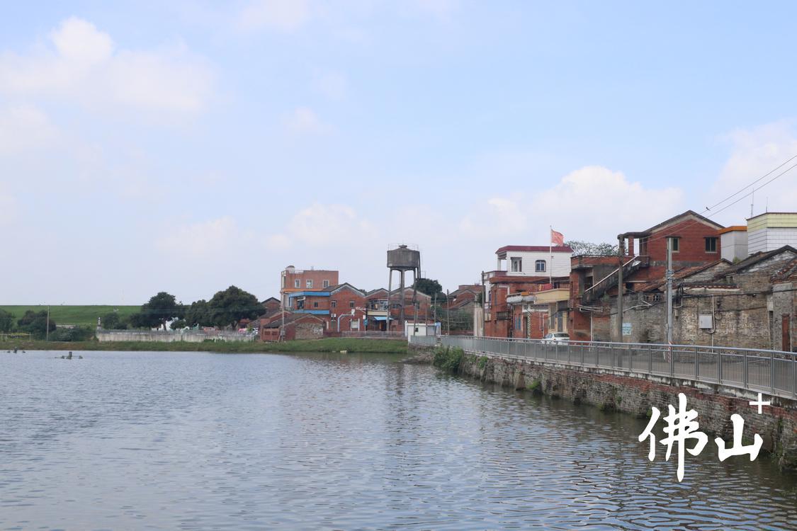 乐平镇黄塘下村屋舍俨然，美丽宜居。.JPG