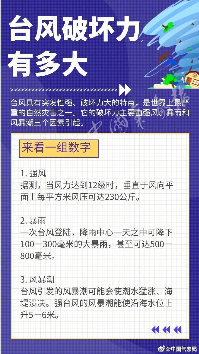 台风的破坏力有多大.jpg