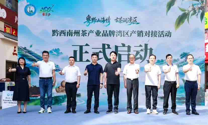 六组粤黔茶企完成签约,“可以喝的古董”叩开大湾区市场大门