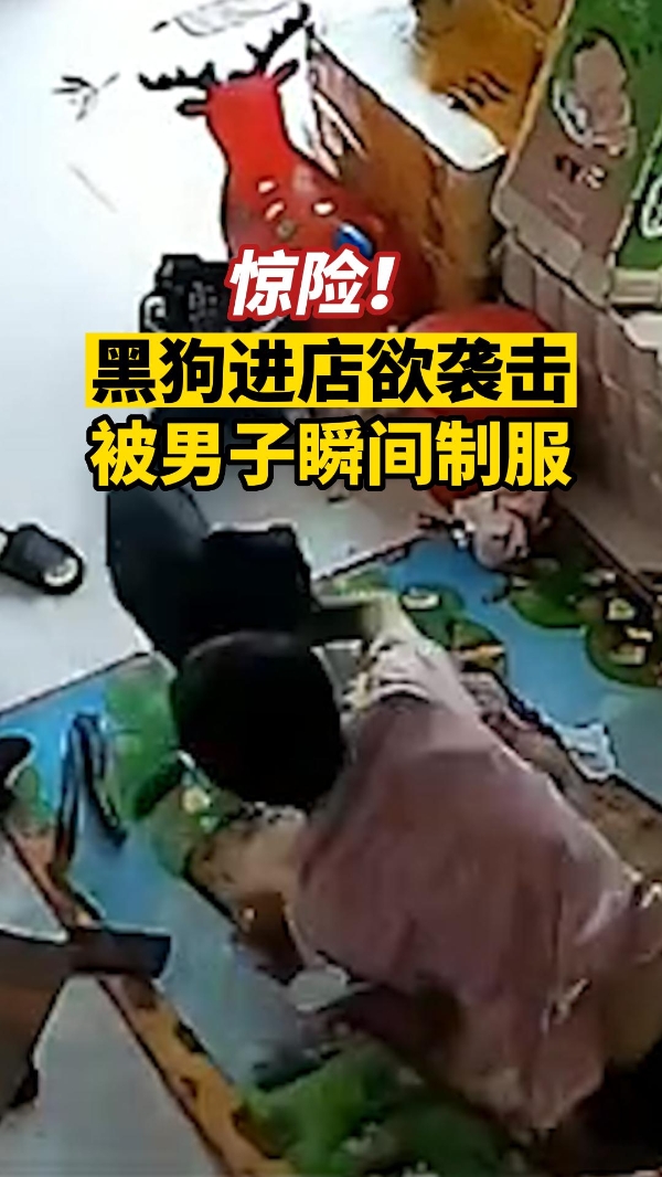 孩子心中的英雄！黑狗进店欲袭击，被男子瞬间制服