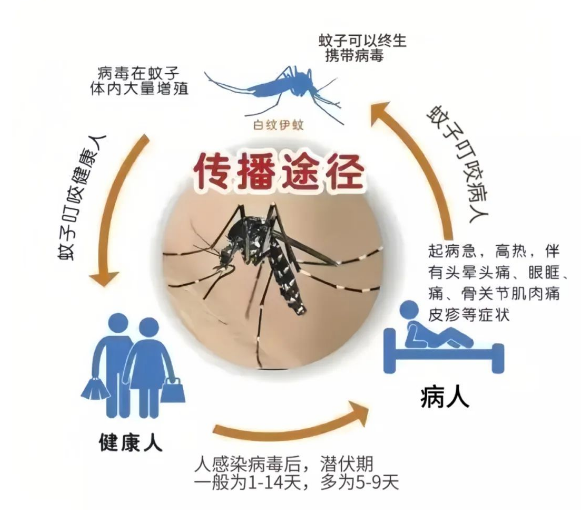 微信图片_20240724110903.png