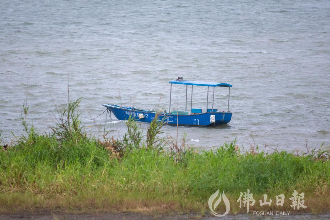 17日,高明区迎来降雨,荷城街道沙寮村的(5548291)-20230717203850.jpg