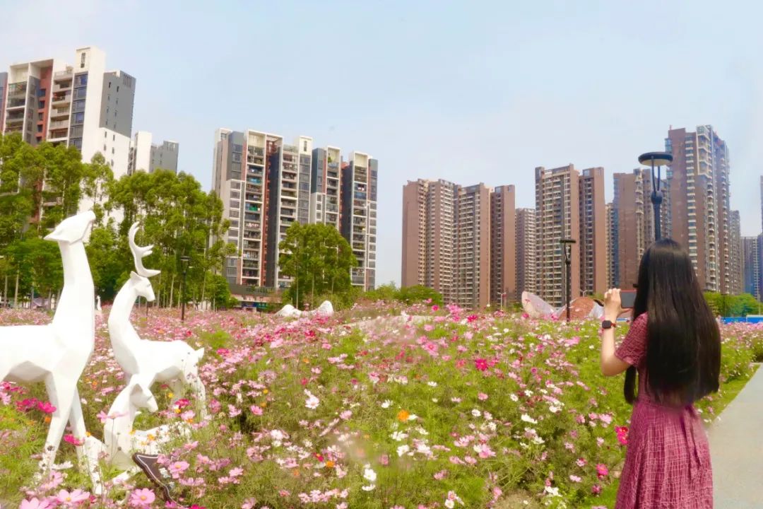 _MG_9842.jpg 图片