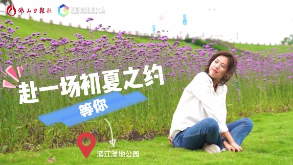 视频丨我在高明滨江湿地公园等你,赴一场初夏之约