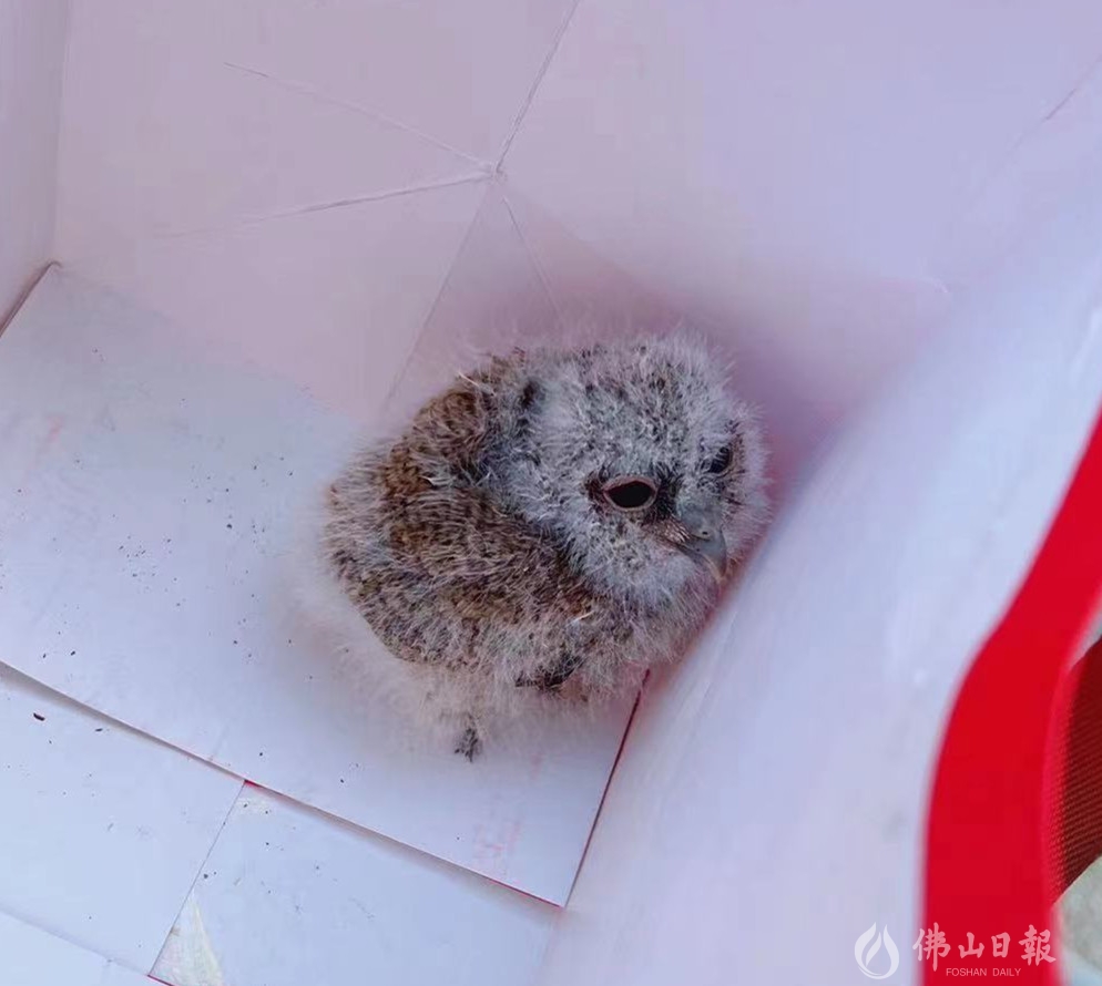 微信图片_20230227095243.jpg