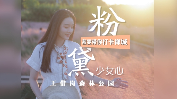 打卡禅城㉟| 秋天不只有黄色,来禅城一起寻觅粉黛少女心