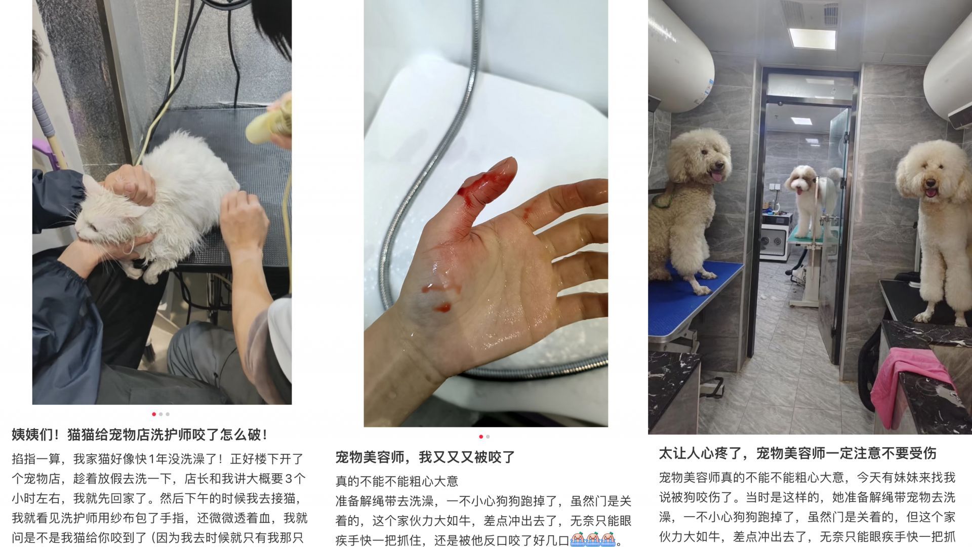 正在上传...