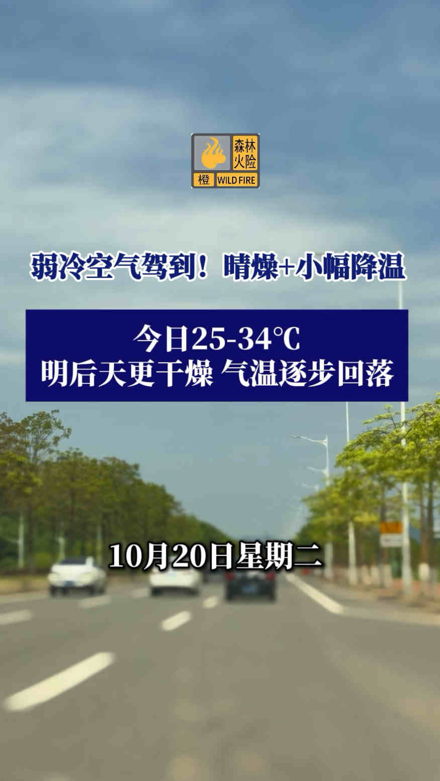 10月20日,佛山天气
弱冷空气驾到!晴燥+小幅降温
今日25-34℃,明后天更干燥,气温逐步回落