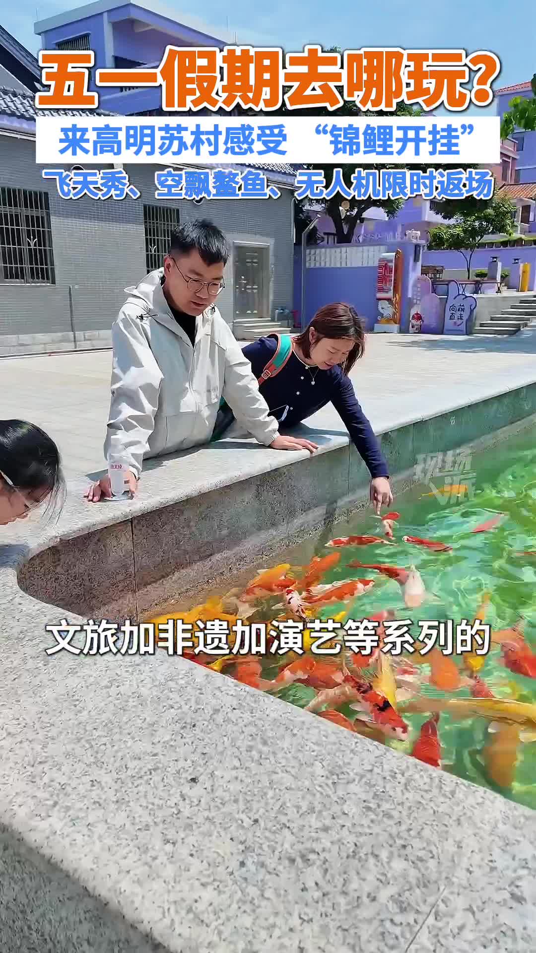 五一假期去哪玩？来高明苏村感受 “锦鲤开挂”