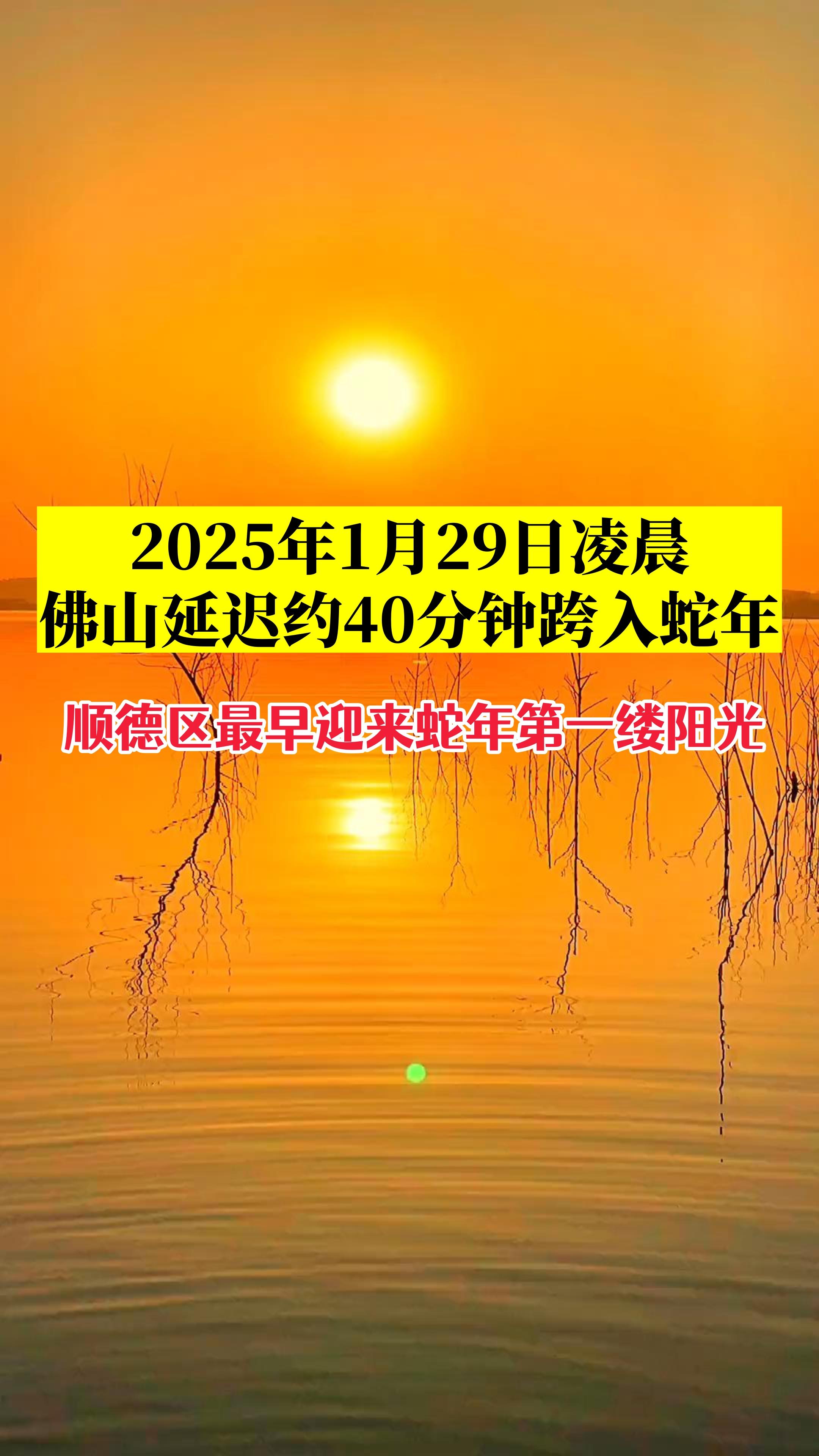20250123114642476