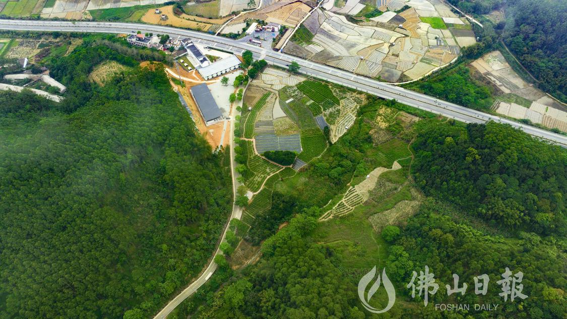 位于高明区更合镇白洞村委会的佛山市高明红(5922114)-20230831183332.jpeg