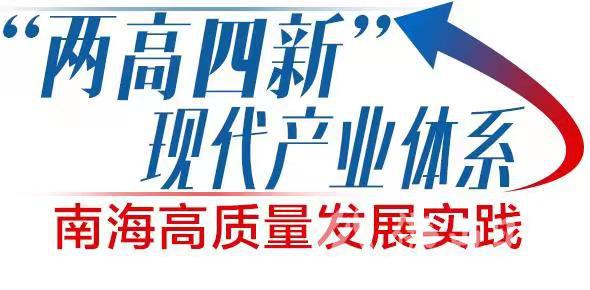 两高四新.jpg