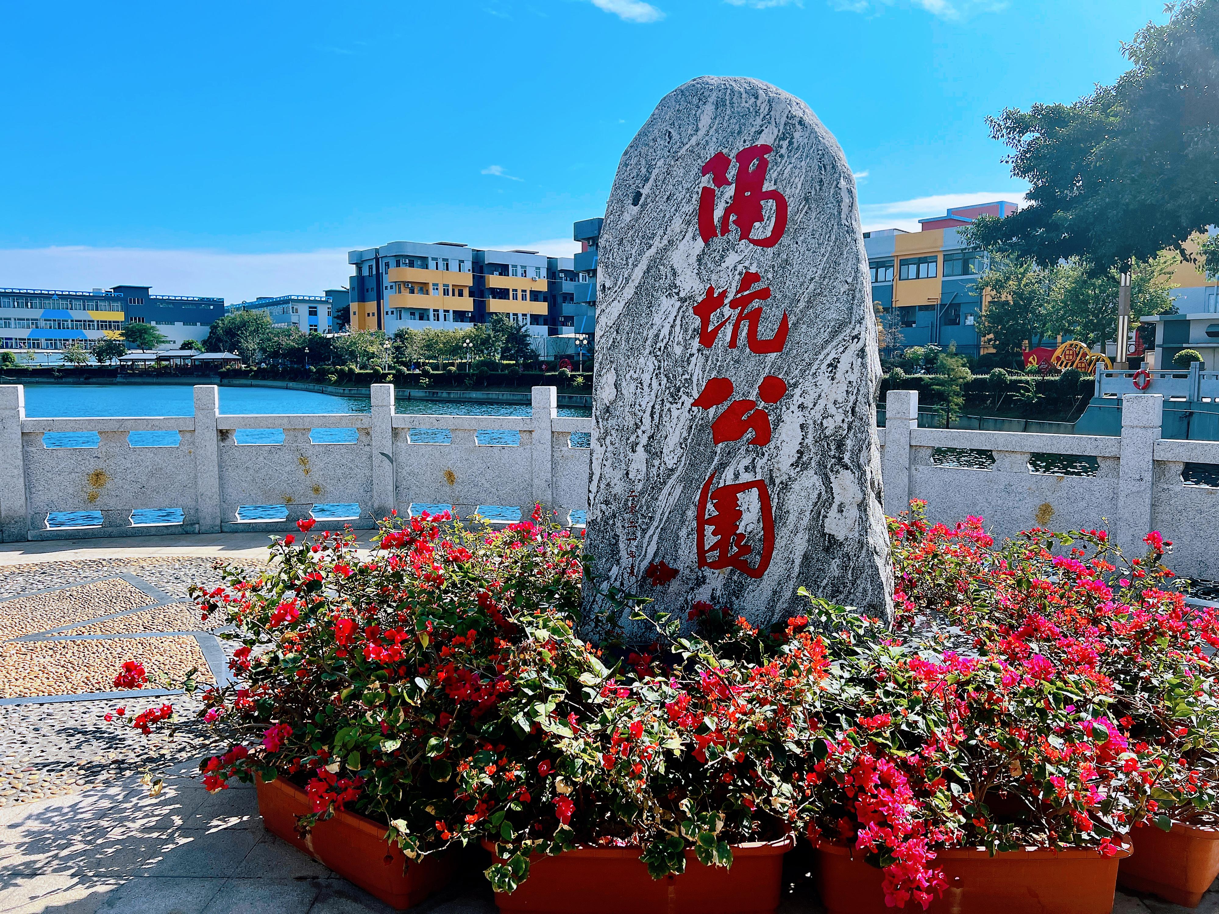 一线调研㉖｜“四小园”开启东莞乡村美颜模式