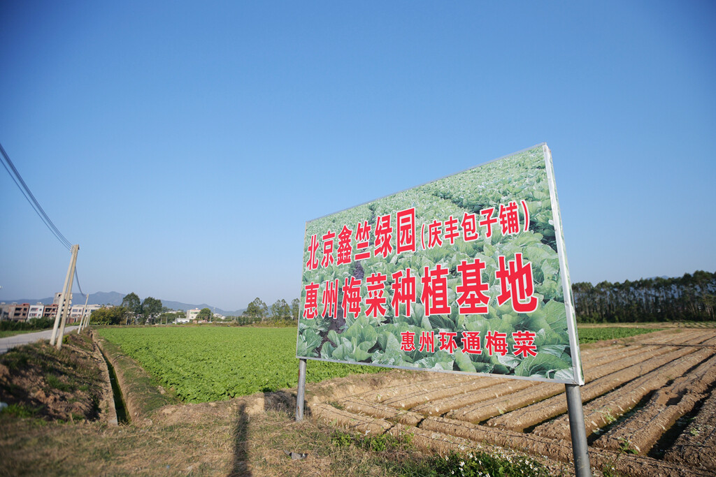 矮陂梅菜有供应给庆丰包子铺。 矮陂梅菜有供应给庆丰包子铺。