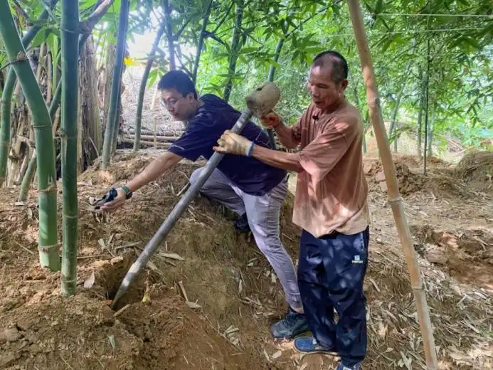 党建引领赋动能！佛山传媒13名“宣传主任”深耕乡村，助力“百千万工程”