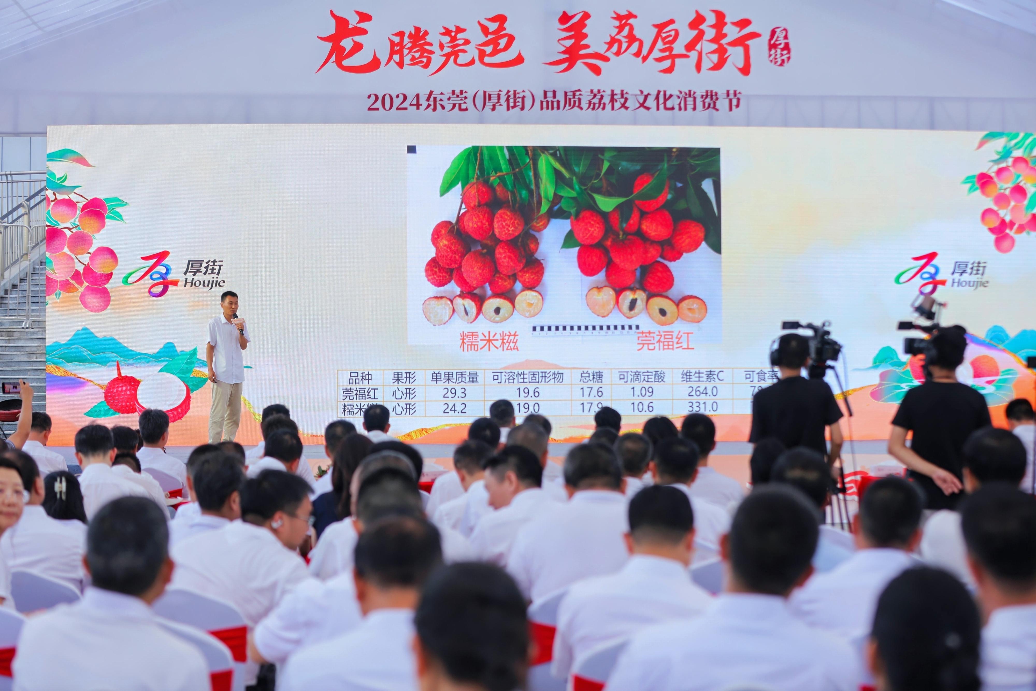 品美食、赏文化、促消费，2024东莞（厚街）品质荔枝文化消费节开幕