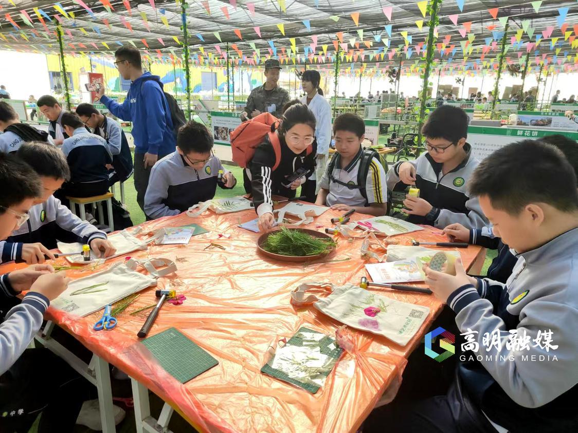 体验非遗植物拓染技艺。杨广志摄.jpg
