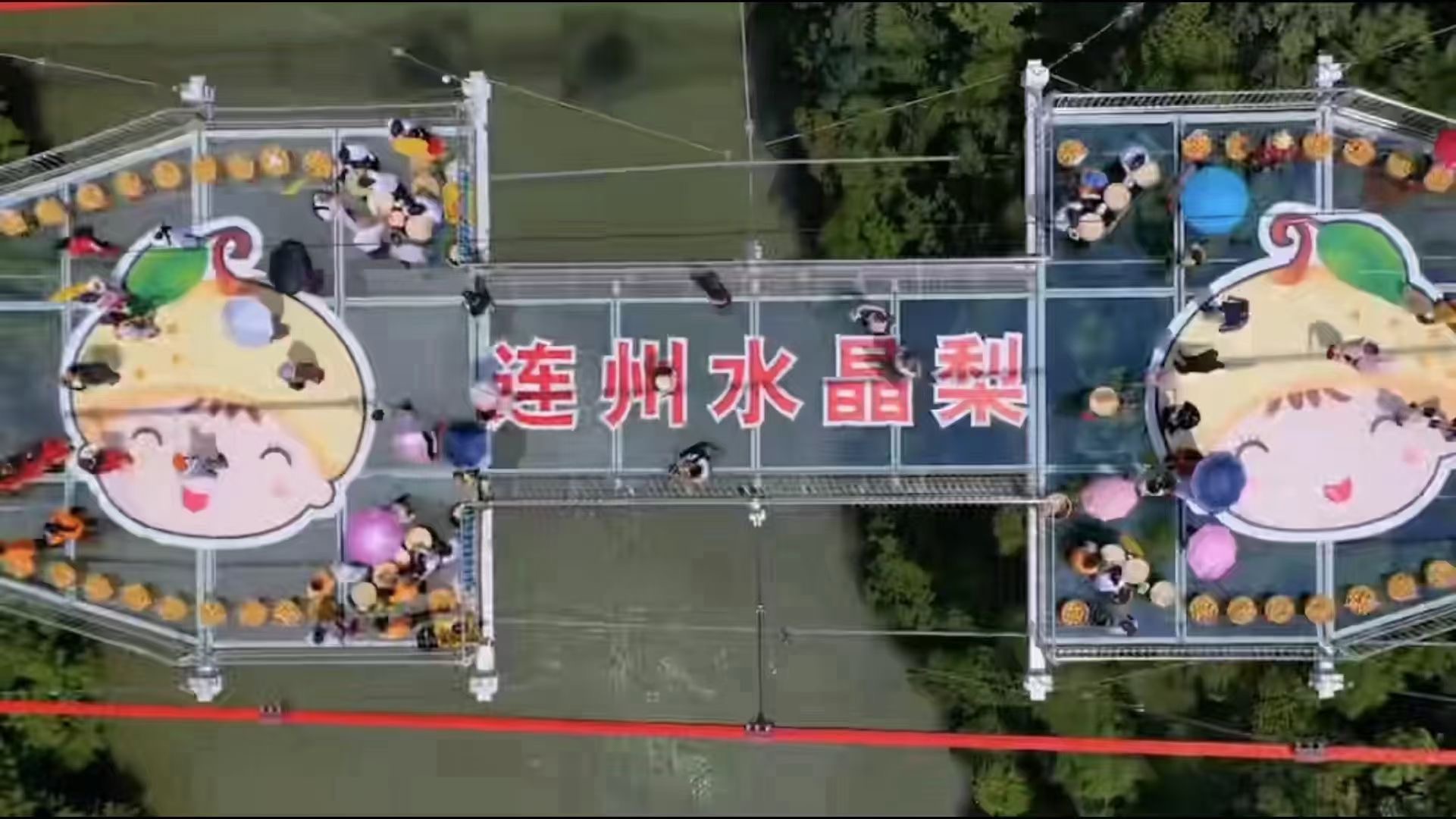 连州水晶梨采摘节在世界最长玻璃桥举行.JPG