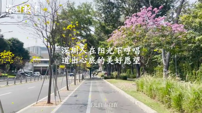 在深圳慢生活中遇见好春光