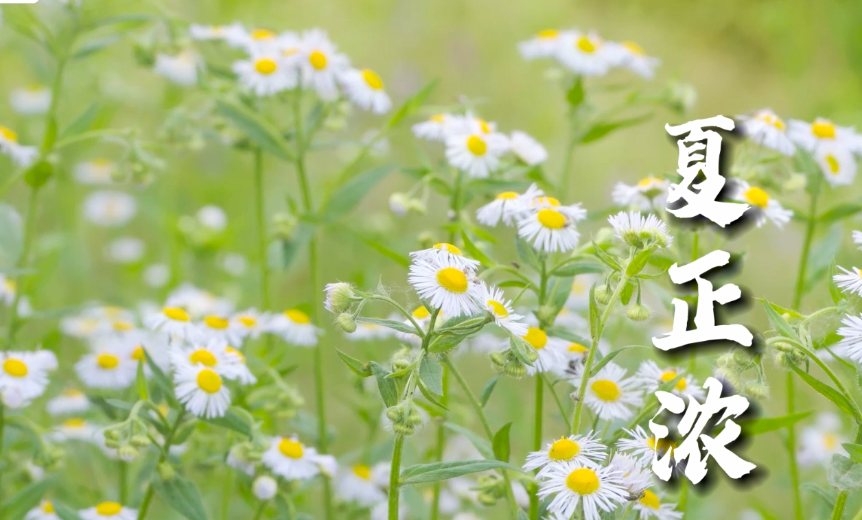 正在上传...