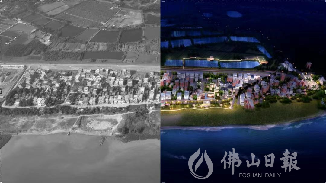 沙寮村改造前后对比照.jpg