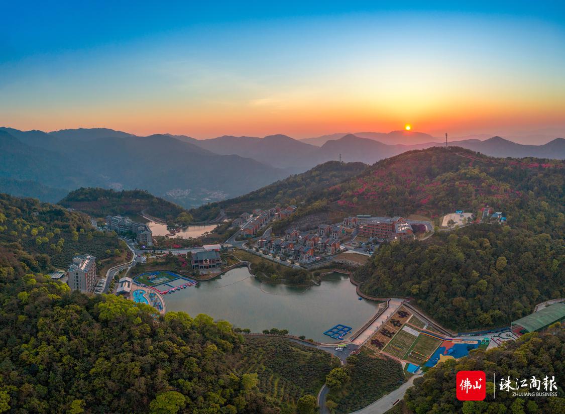 万亩茶山中的翔顺象窝酒店，零距离亲近高山茶园.JPG