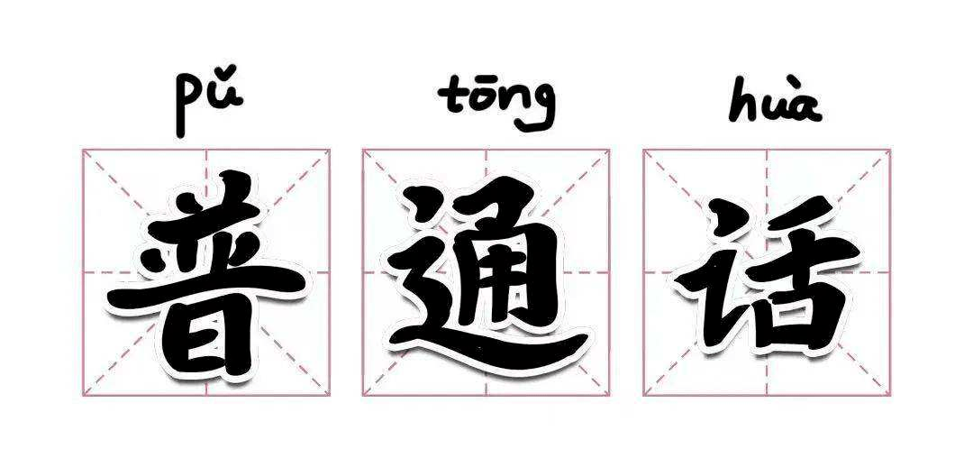IMG_7216.PNG