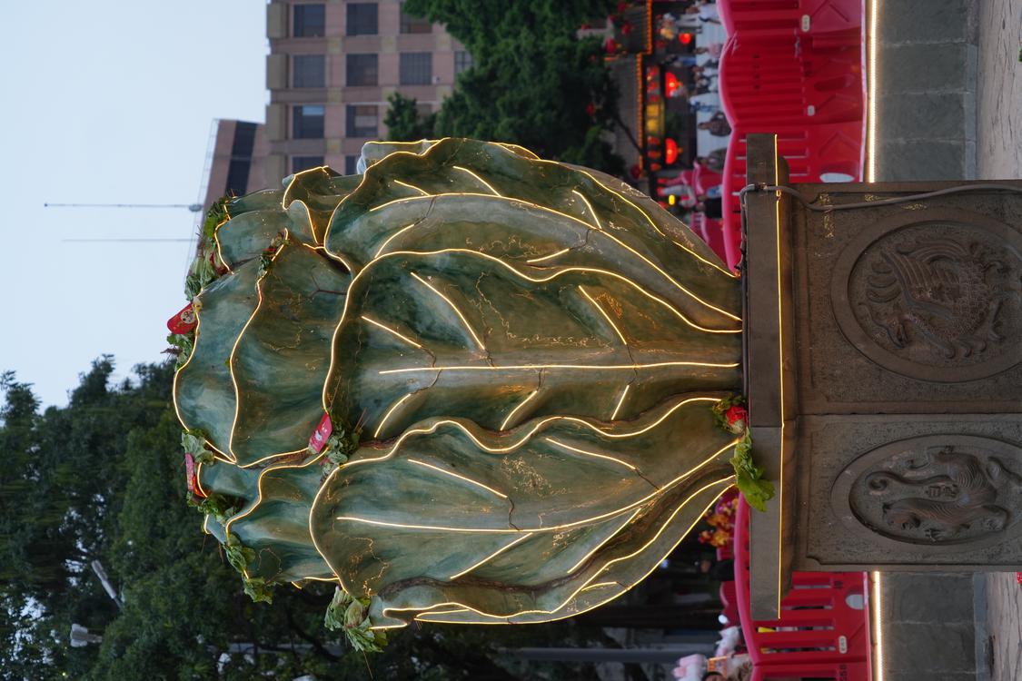 亮灯后的生菜池雕塑熠熠生辉.jpg