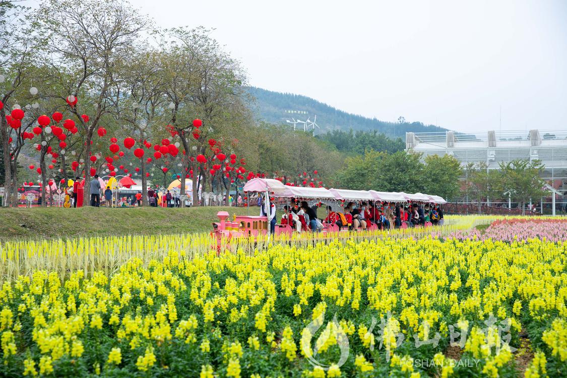 高明盈香生态园。佛山日报记者洪海摄。(4461022)-20230315180007.jpg