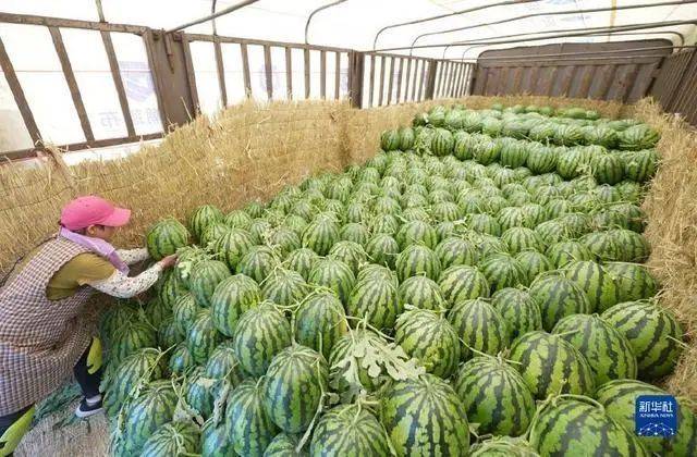 图片来源:新华社