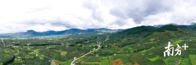 盐源苹果种植园。卢冠东 摄 盐源苹果种植园。卢冠东 摄