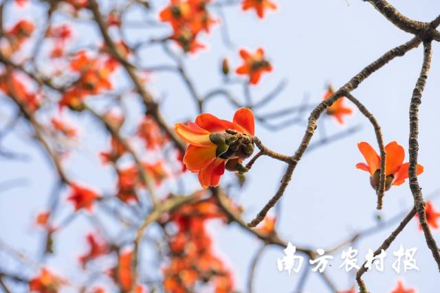 受访者供图