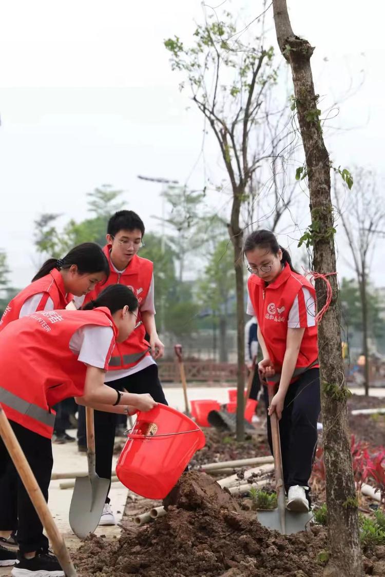 龙江镇苏溪社区青年叶衍宏与同学一起植树,美化家园.