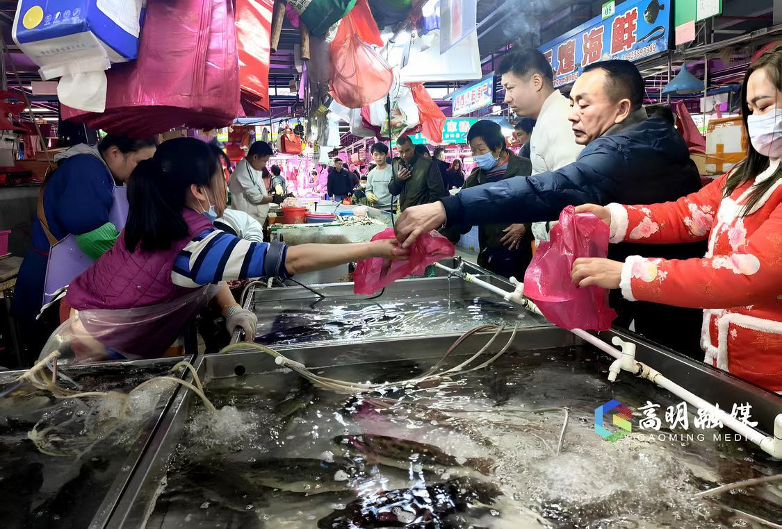 鱼类价格平稳.jpg