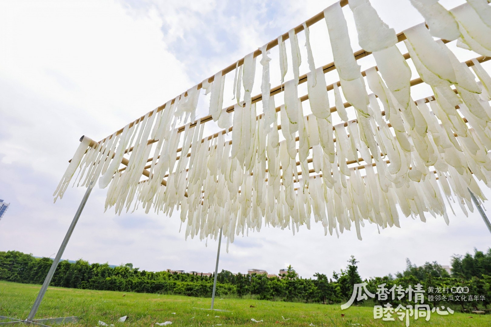 正值食瓜好时节!北滘黄龙村冬瓜宴惊艳周末|趣游乡村