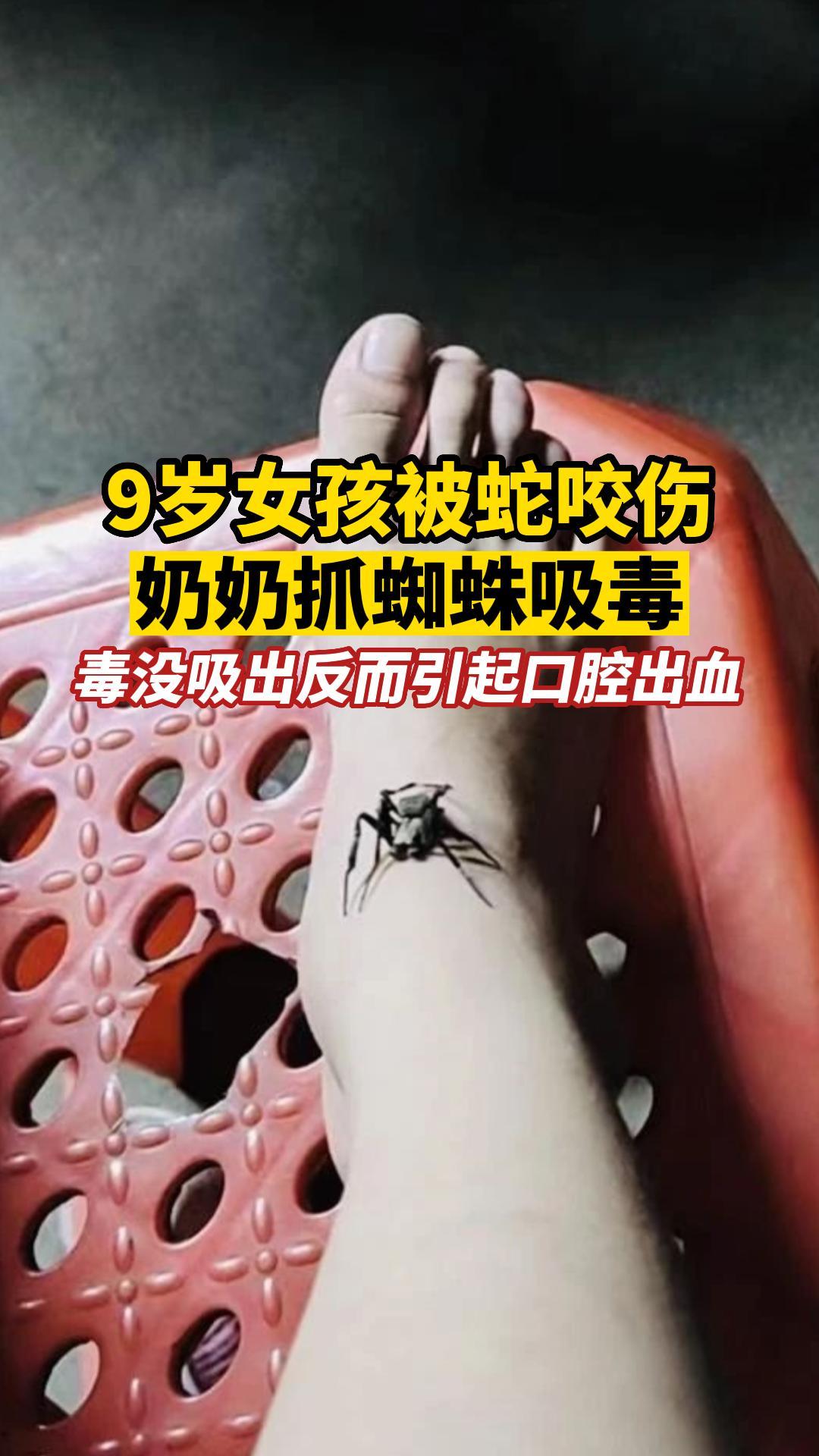 9岁女孩被蛇咬伤奶奶抓蜘蛛吸毒，毒没吸出反而引起口腔出血
